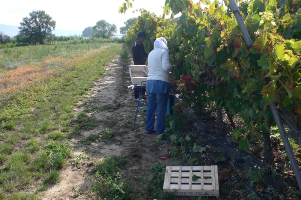 fietsvakantie Provence 048