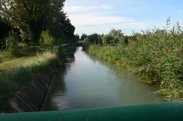 fietsvakantie Provence 050