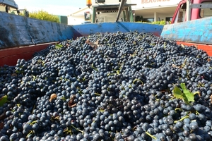 fietsvakantie Provence 054