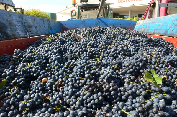 fietsvakantie Provence 054