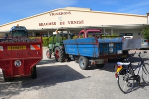 fietsvakantie Provence 055