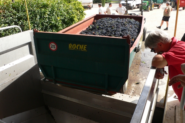 fietsvakantie Provence 056