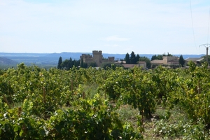 fietsvakantie Provence 063