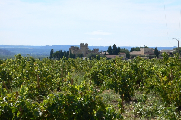 fietsvakantie Provence 063