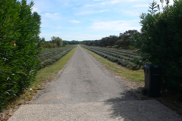fietsvakantie Provence 088