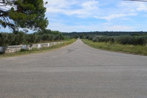 fietsvakantie Provence 090