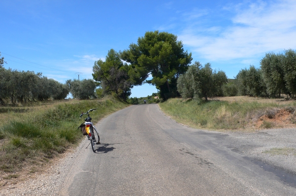 fietsvakantie Provence 092