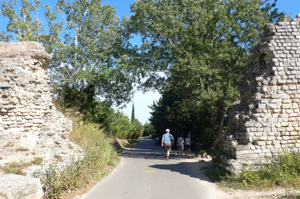 fietsvakantie Provence 132