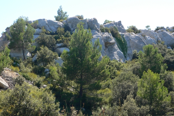 fietsvakantie Provence 145