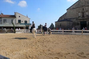 fietsvakantie Provence 161