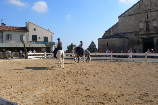 fietsvakantie Provence 161