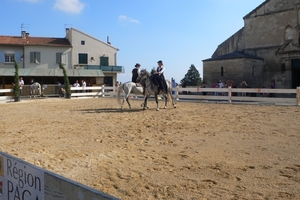 fietsvakantie Provence 163