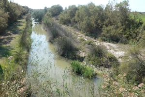 fietsvakantie Provence 172