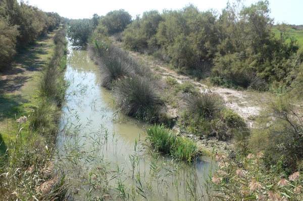 fietsvakantie Provence 172
