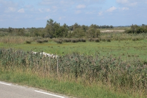 fietsvakantie Provence 173