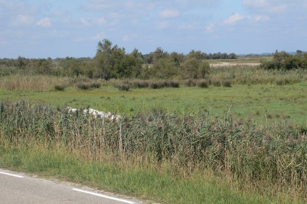 fietsvakantie Provence 173