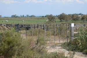 fietsvakantie Provence 174
