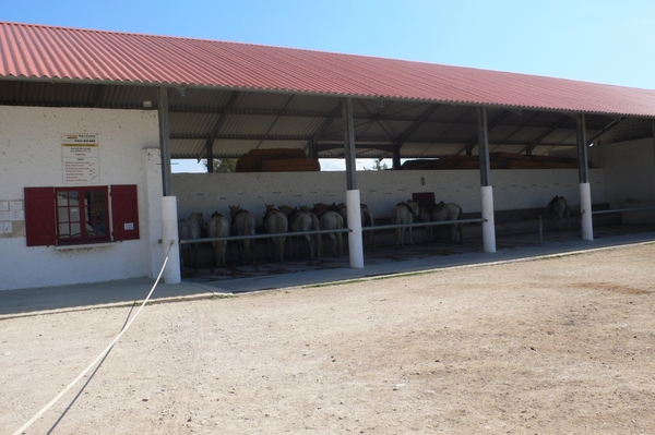 fietsvakantie Provence 177