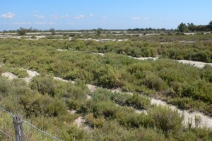fietsvakantie Provence 180