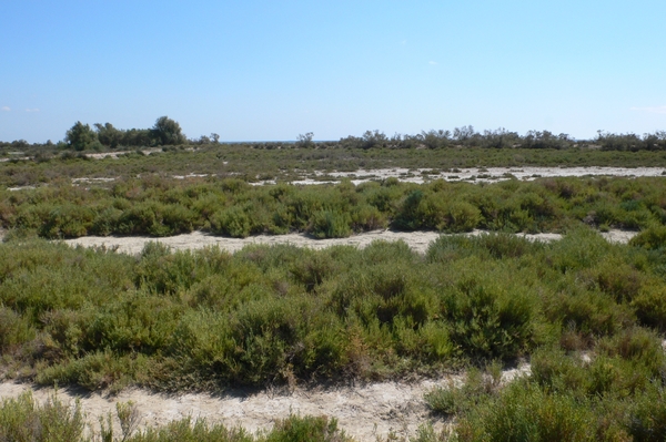 fietsvakantie Provence 181