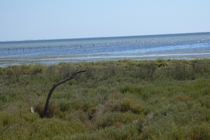 fietsvakantie Provence 183