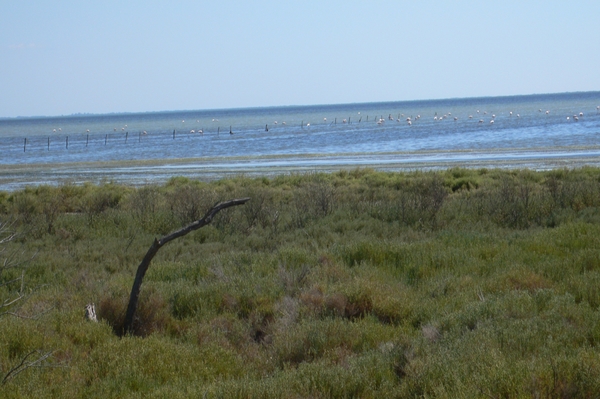 fietsvakantie Provence 183