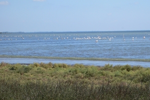 fietsvakantie Provence 186