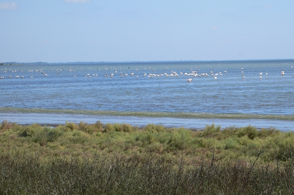 fietsvakantie Provence 186