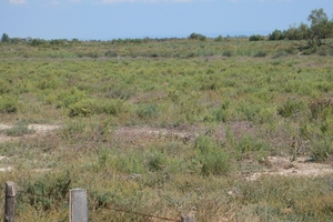 fietsvakantie Provence 189