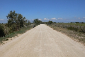 fietsvakantie Provence 191