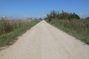 fietsvakantie Provence 193