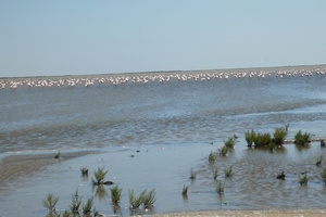fietsvakantie Provence 194