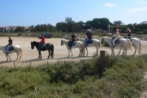 fietsvakantie Provence 197