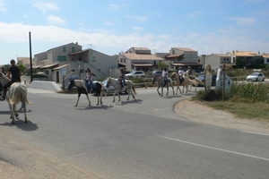 fietsvakantie Provence 198