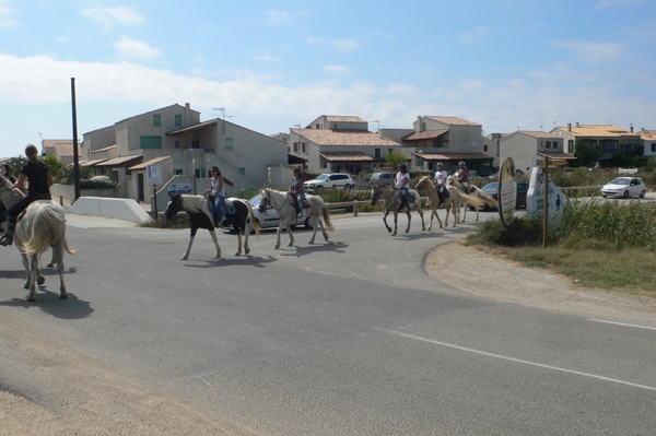 fietsvakantie Provence 198