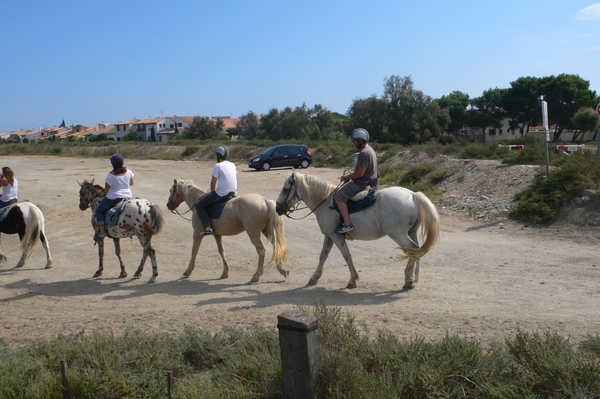 fietsvakantie Provence 199