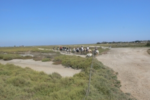 fietsvakantie Provence 200