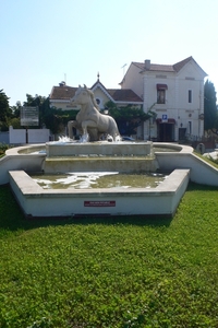 fietsvakantie Provence 204