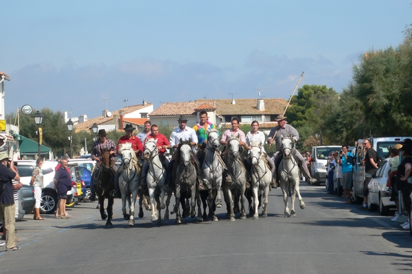 fietsvakantie Provence 212