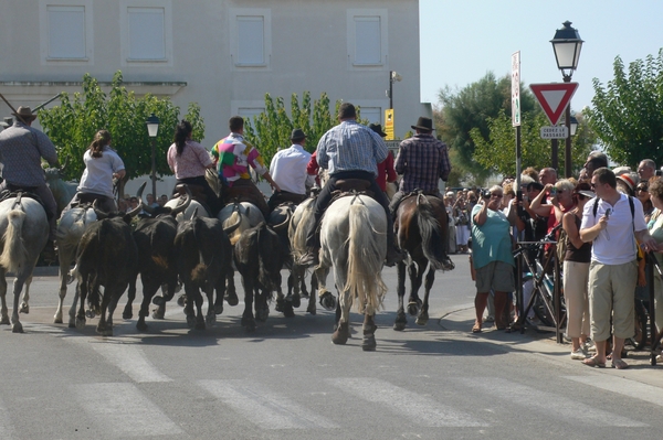 fietsvakantie Provence 213