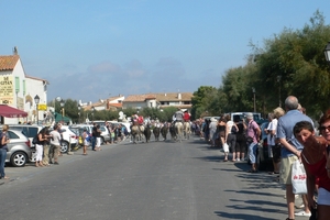 fietsvakantie Provence 214