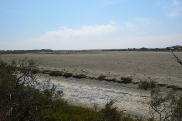 fietsvakantie Provence 215