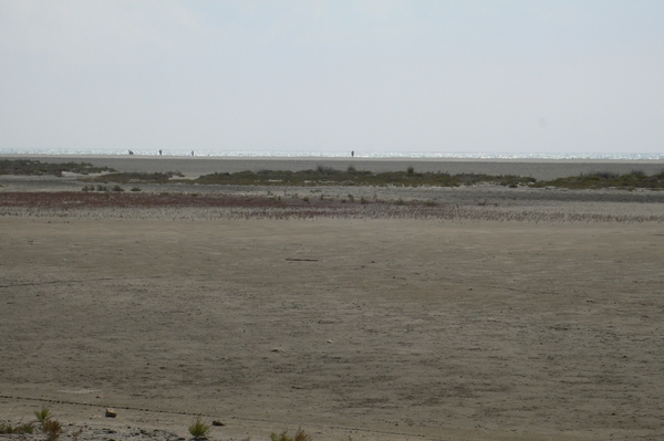 fietsvakantie Provence 216