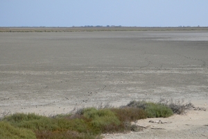 fietsvakantie Provence 217