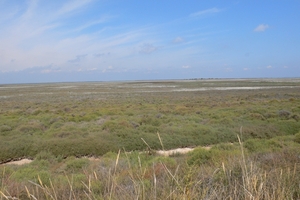 fietsvakantie Provence 220