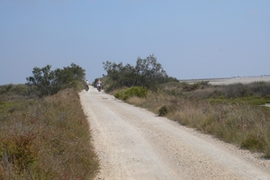 fietsvakantie Provence 221