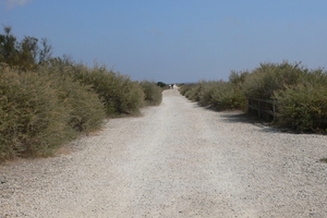 fietsvakantie Provence 224