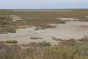 fietsvakantie Provence 226