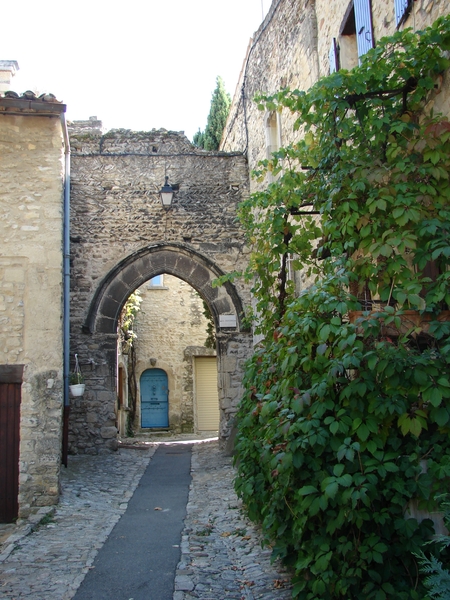 DSC08313