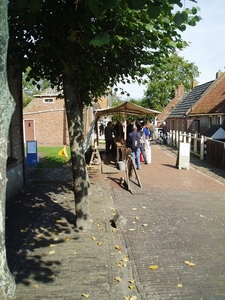 ZZ 14